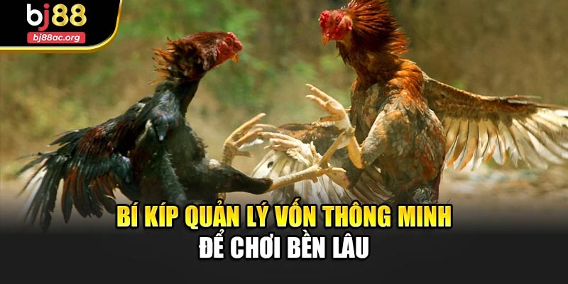 Bí kíp quản lý vốn thông minh để chơi bền lâu