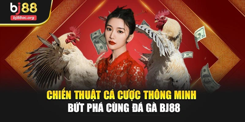 Chiến thuật cá cược thông minh – Bứt phá cùng Đá gà BJ88