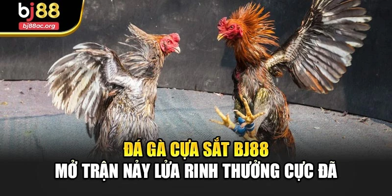 Đá Gà Cựa Sắt Bj88 – Mở Trận Nảy Lửa Rinh Thưởng Cực Đã
