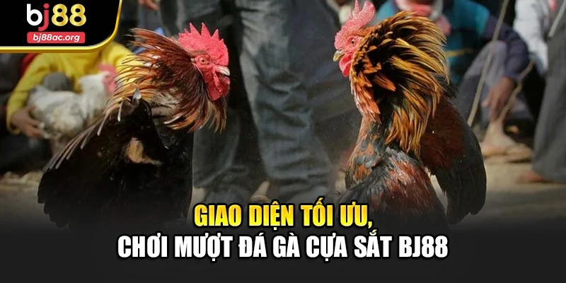 Giao diện tối ưu, chơi mượt đá gà cựa sắt Bj88