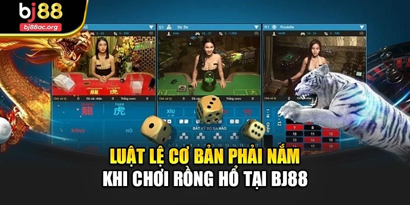 Luật lệ cơ bản phải nắm khi chơi Rồng Hổ tại Bj88